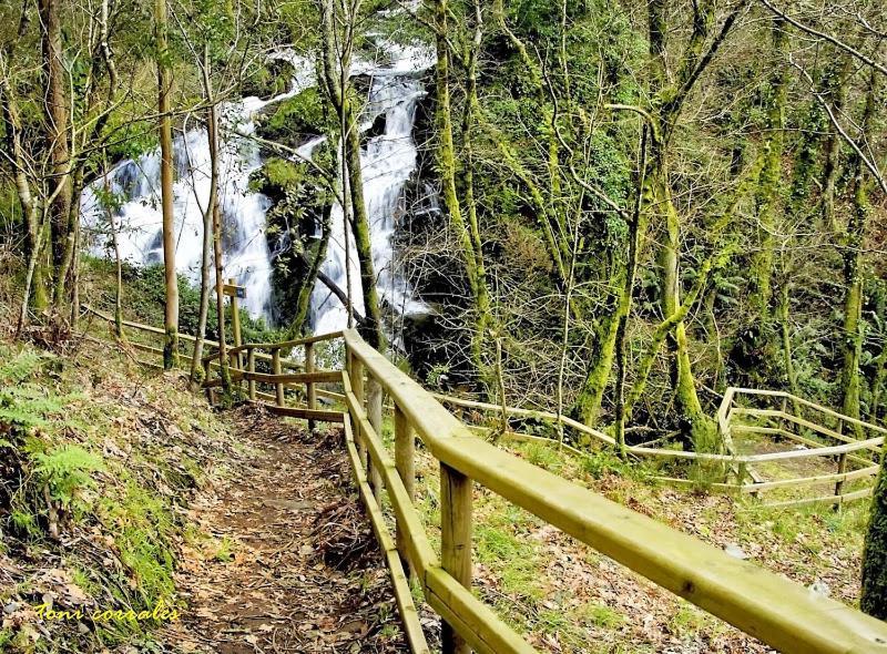 Apartamentos Gallaecia Val do Dubra エクステリア 写真